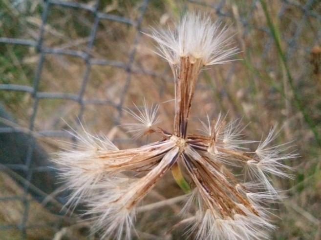 Going different ways