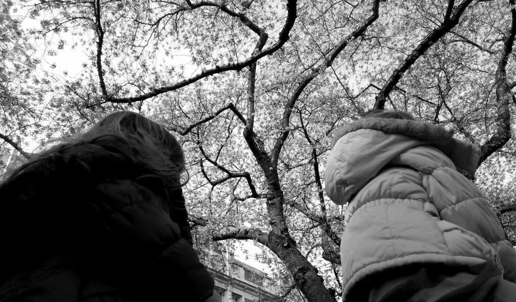Kids at the tree branch