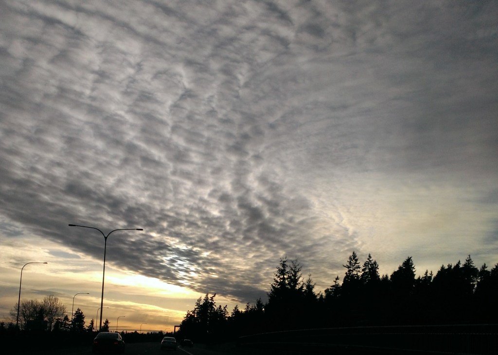 Some golden and a lots of gray. I like the gray clouds formation on this one.