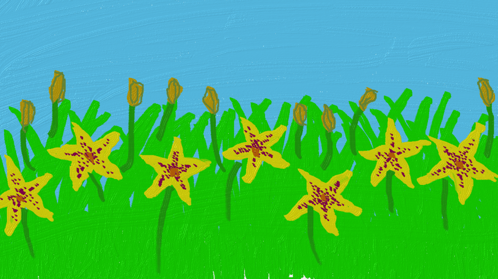 There are lilies everywhere on my lunch time walk routes