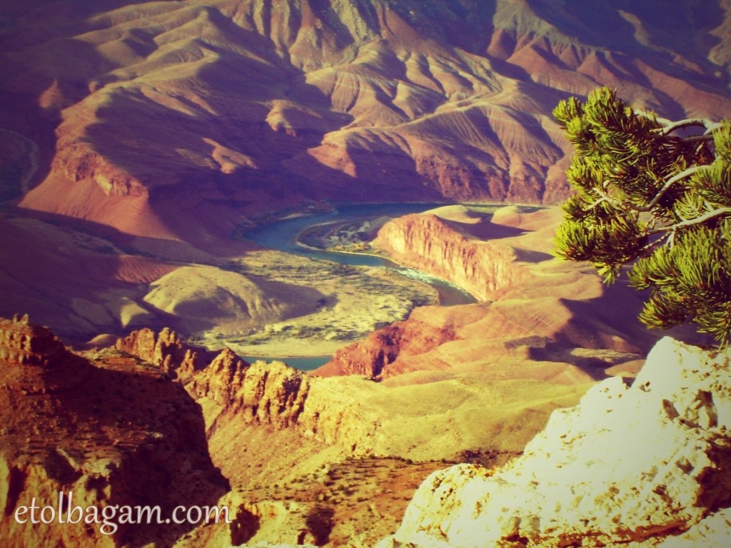 Intricate Grand Canyon
