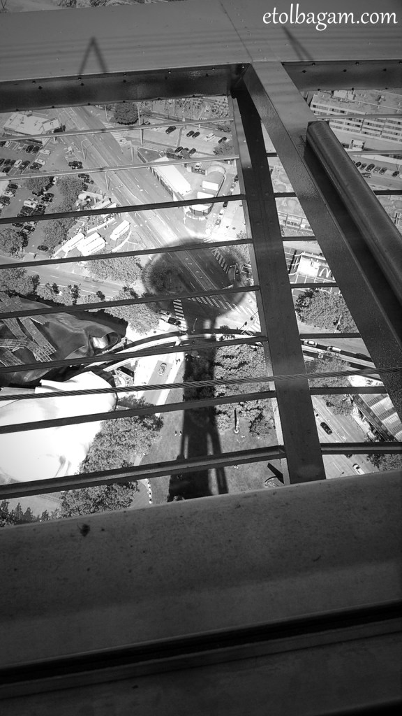 Needle casting its shadow over the trees down below