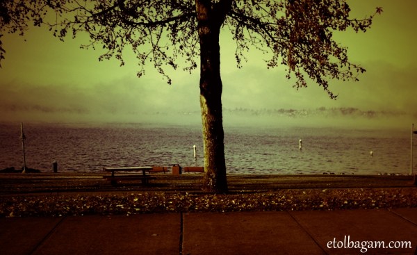 OneFourDecemberWeek2