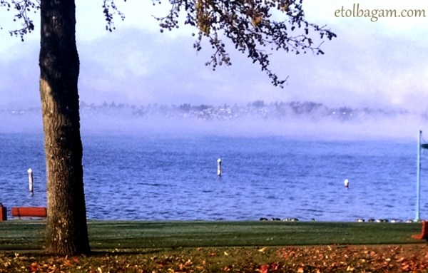 OneFourDecemberWeek3