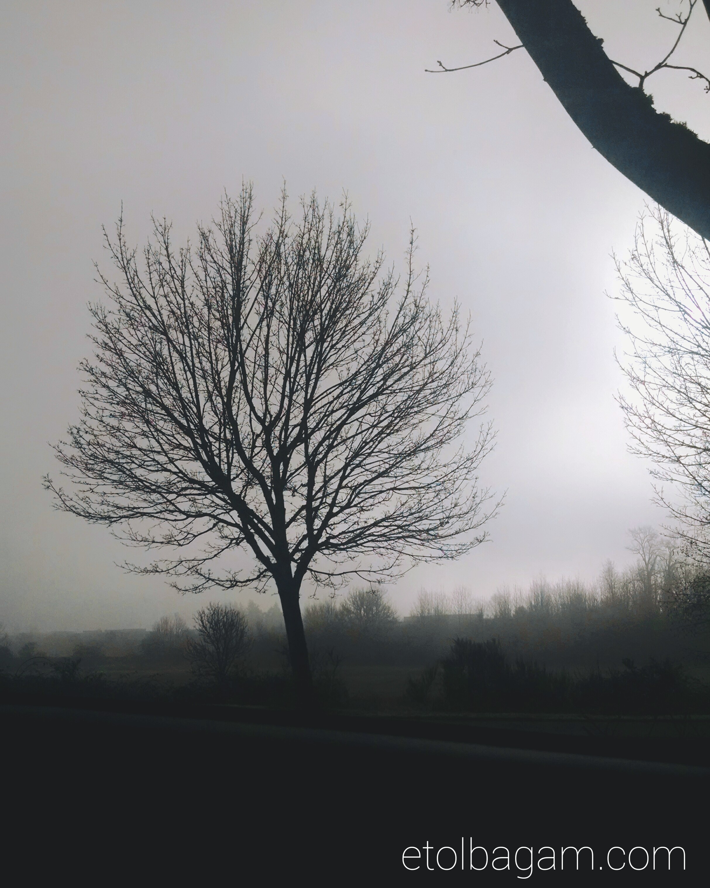 Fotor_145512358272871