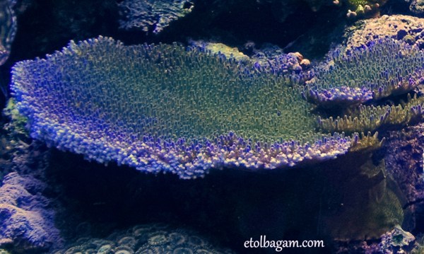 OneFourFeb2016_Week3b