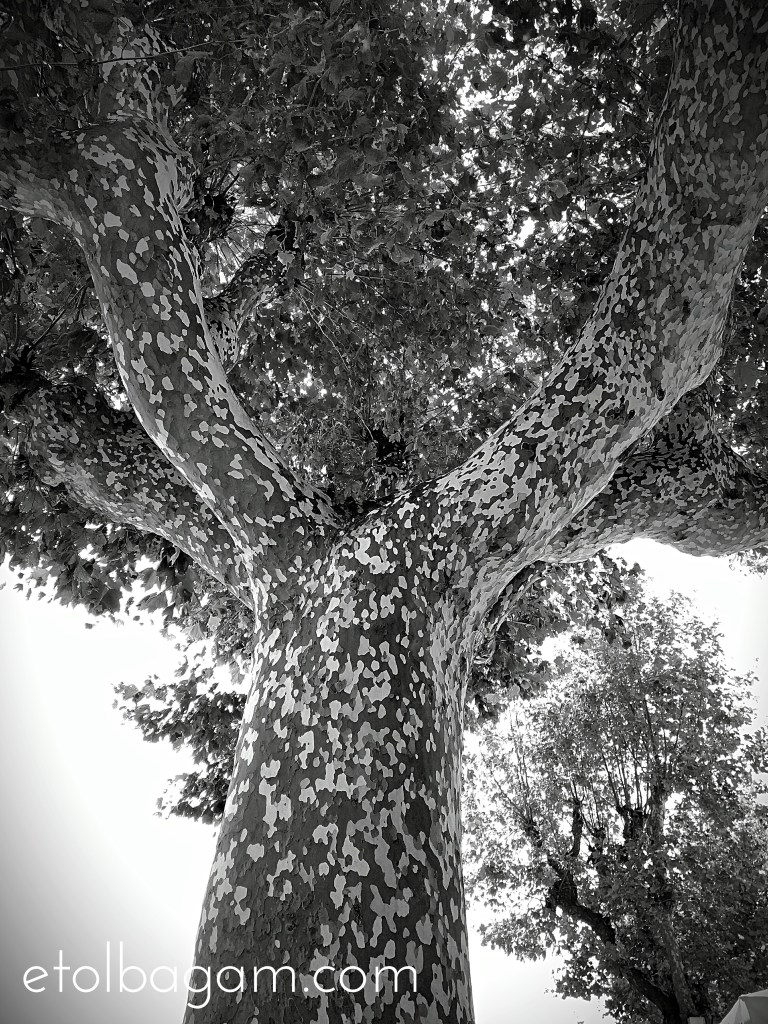 Fotor_147229115686850